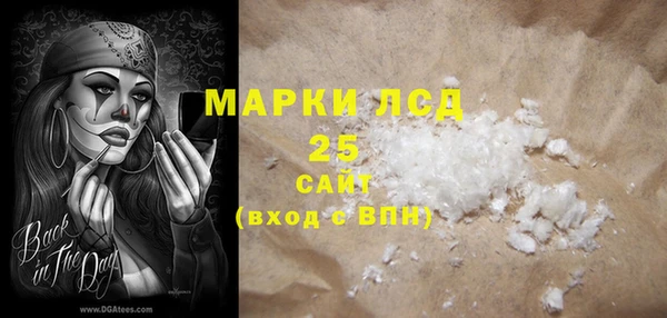 эйфоретик Каменногорск