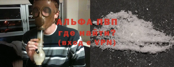 эйфоретик Каменногорск
