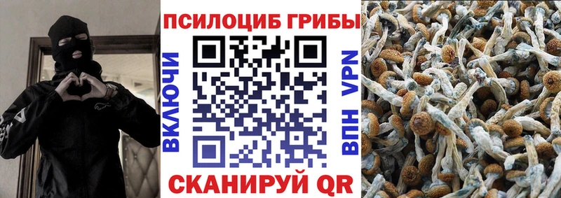 Галлюциногенные грибы мухоморы  Купить где  Карачаевск 