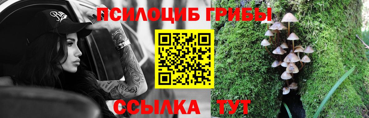 Псилоцибиновые грибы GOLDEN TEACHER Карачаевск