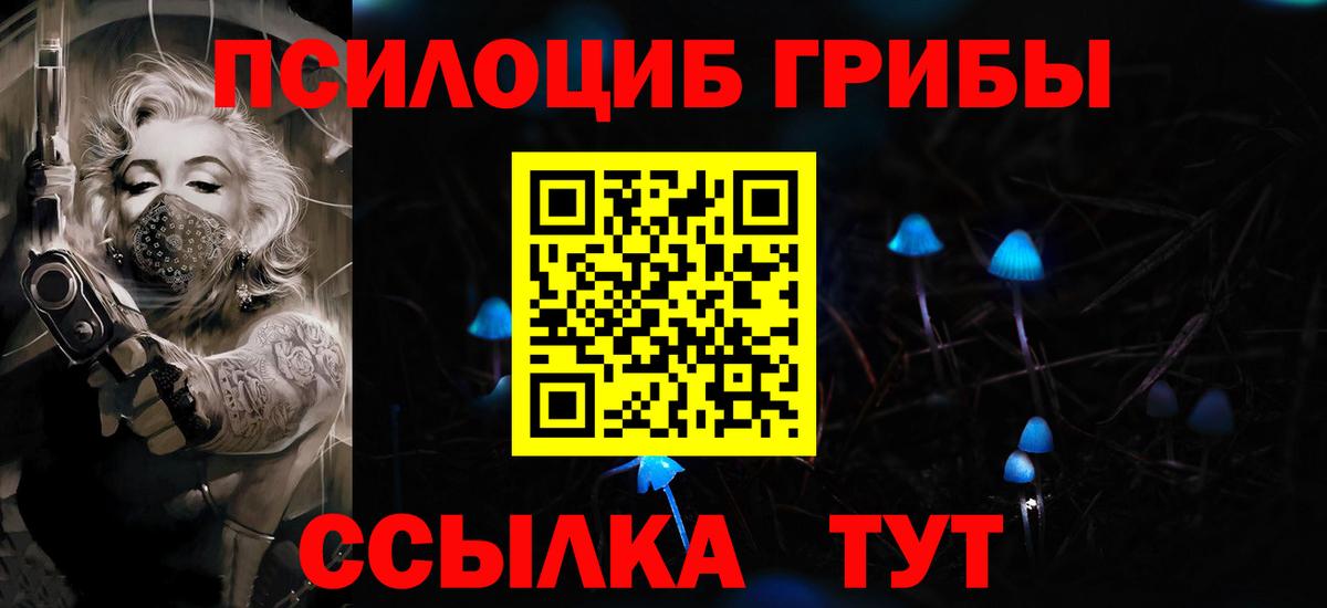 Псилоцибиновые грибы Psilocybine cubensis  Карачаевск 