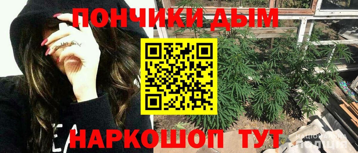 Каннабис Bruce Banner Карачаевск